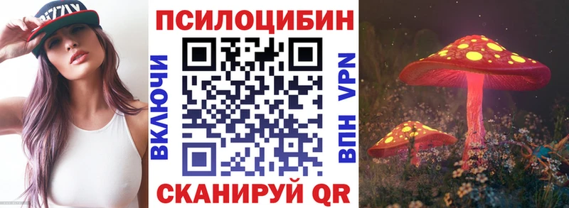 где купить   Геленджик  Галлюциногенные грибы MAGIC MUSHROOMS 