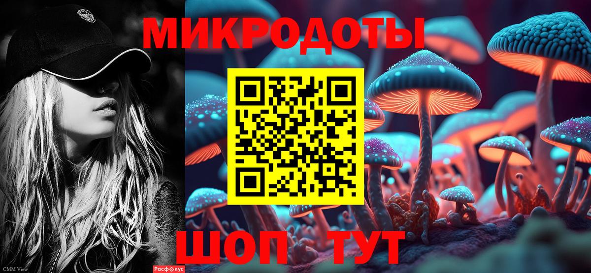Галлюциногенные грибы Cubensis  Вход с VPN  Геленджик 