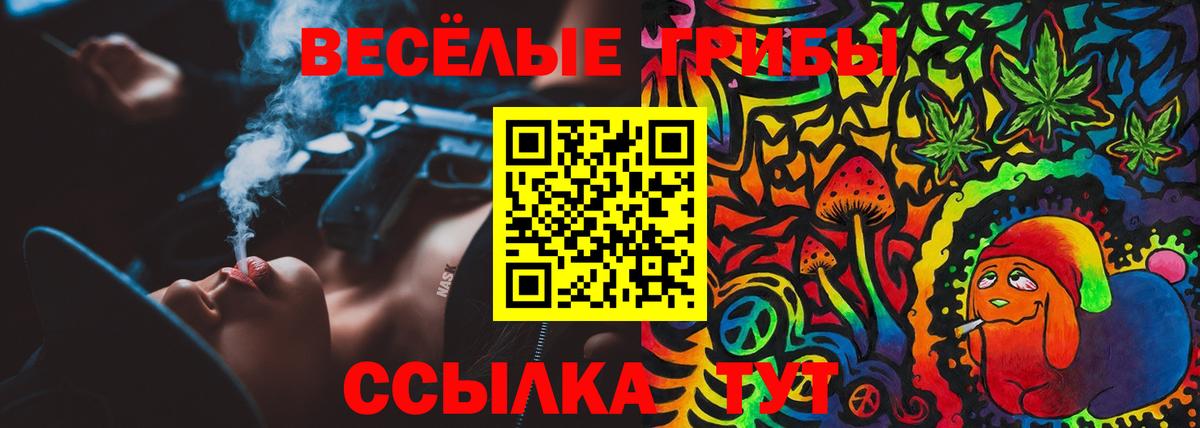 Галлюциногенные грибы Magic Shrooms Геленджик
